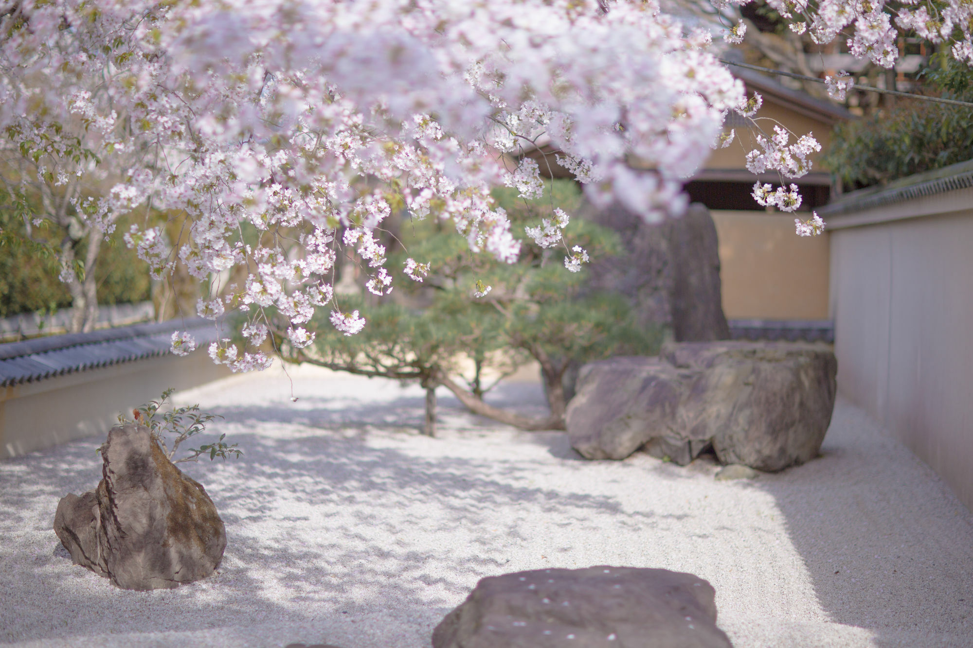 Kyoto Fushimi Ohana Mukó Kültér fotó